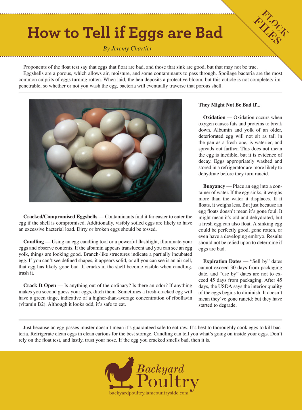 How to Tell if Eggs are Bad Backyard Poultry